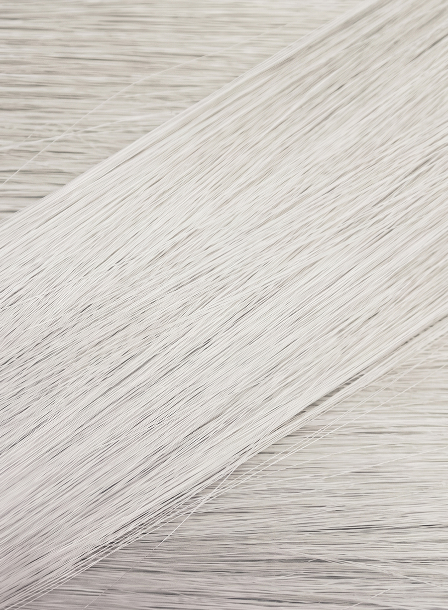 Explicit hair colour 90.01 Silver Blonde 